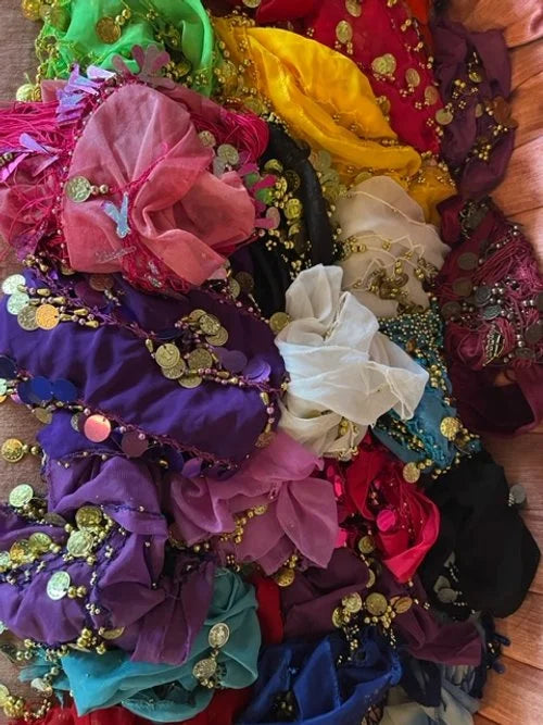 Belly Dance Party - Hafla!